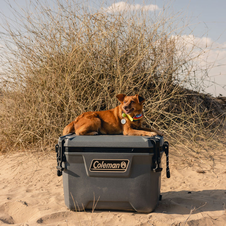 Coleman Convoy Series 55-Quart Portable Cooler