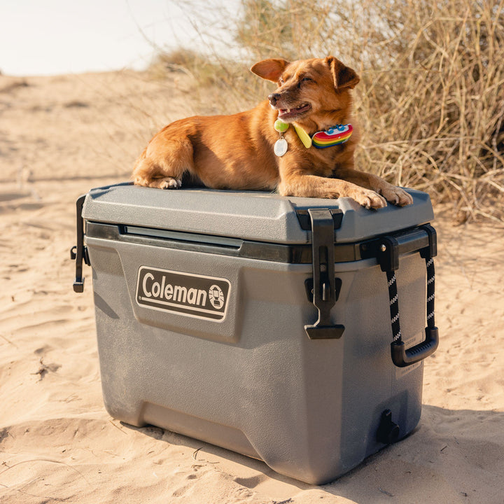 Coleman Convoy Series 55-Quart Portable Cooler