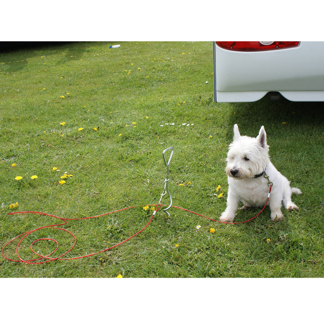 Dog Anchor with Lead 